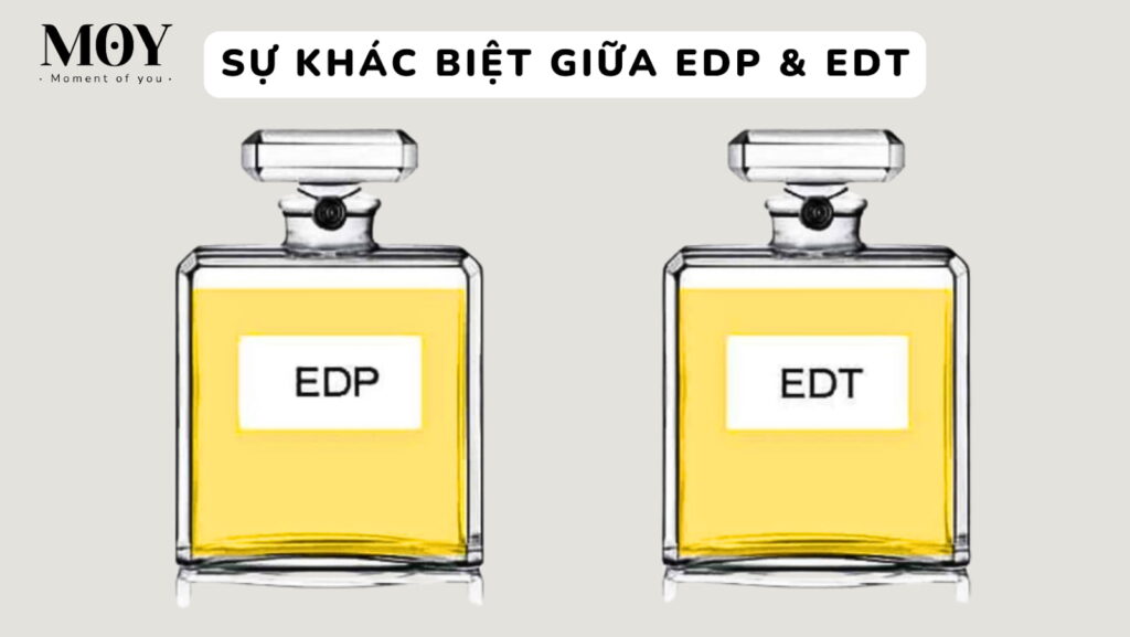 EDP và EDT khác nhau