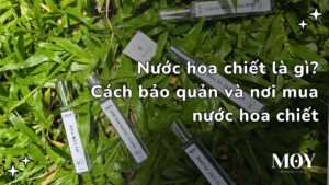 Nước hoa MOY